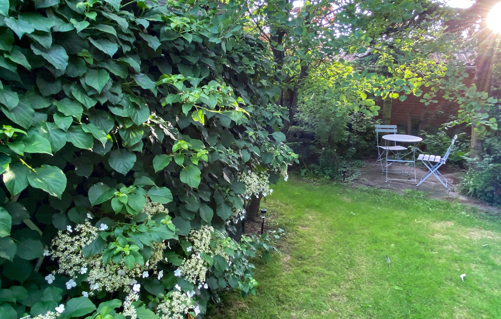 Ferienhaus - Vestervig , Dänemark - B40410 13