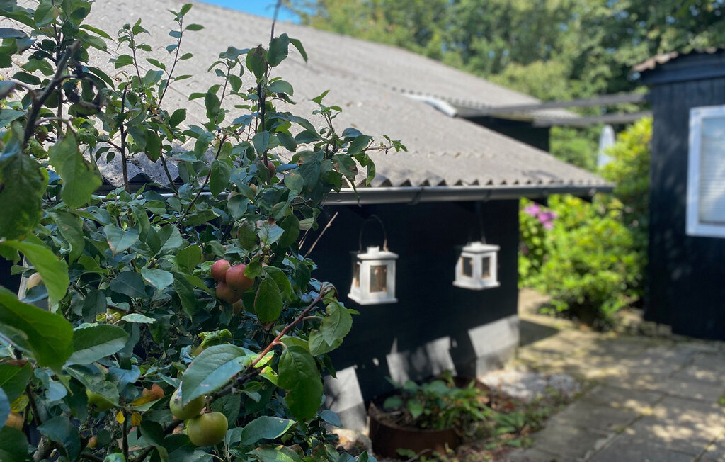 Ferienhaus - Vestervig , Dänemark - B40410 14