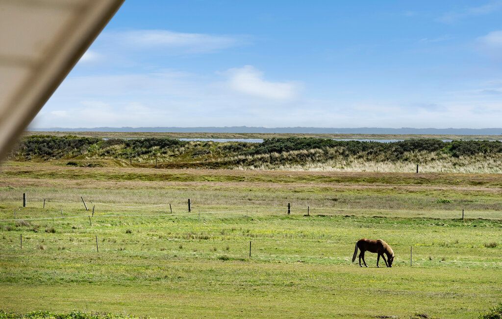 Ferienhaeuser - Agger Strand , Dänemark - B40312 14