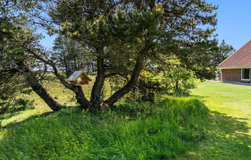 Ferienhaeuser - Agger Strand , Dänemark - B40414 13