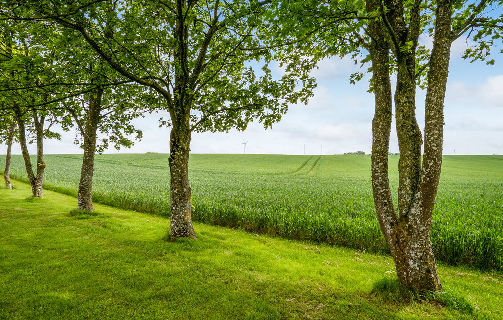 Semesterhus - Holstebro , Danmark - B5077 23