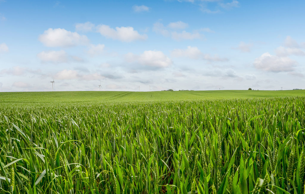Semesterhus - Holstebro , Danmark - B5077 24