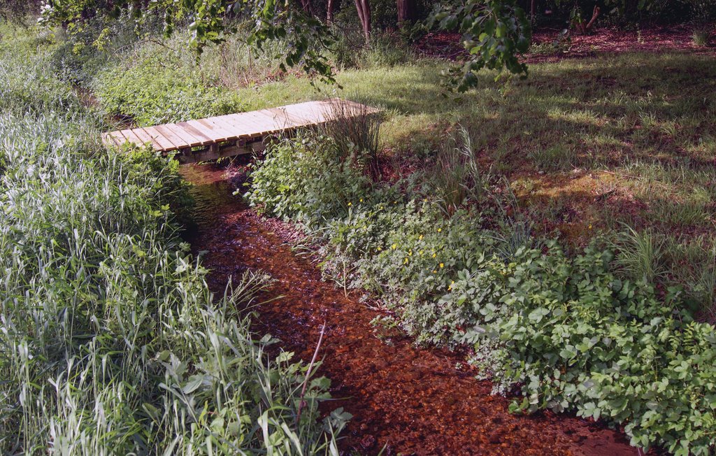 Ferienhaus - Hostrup Strand , Dänemark - B5026 20