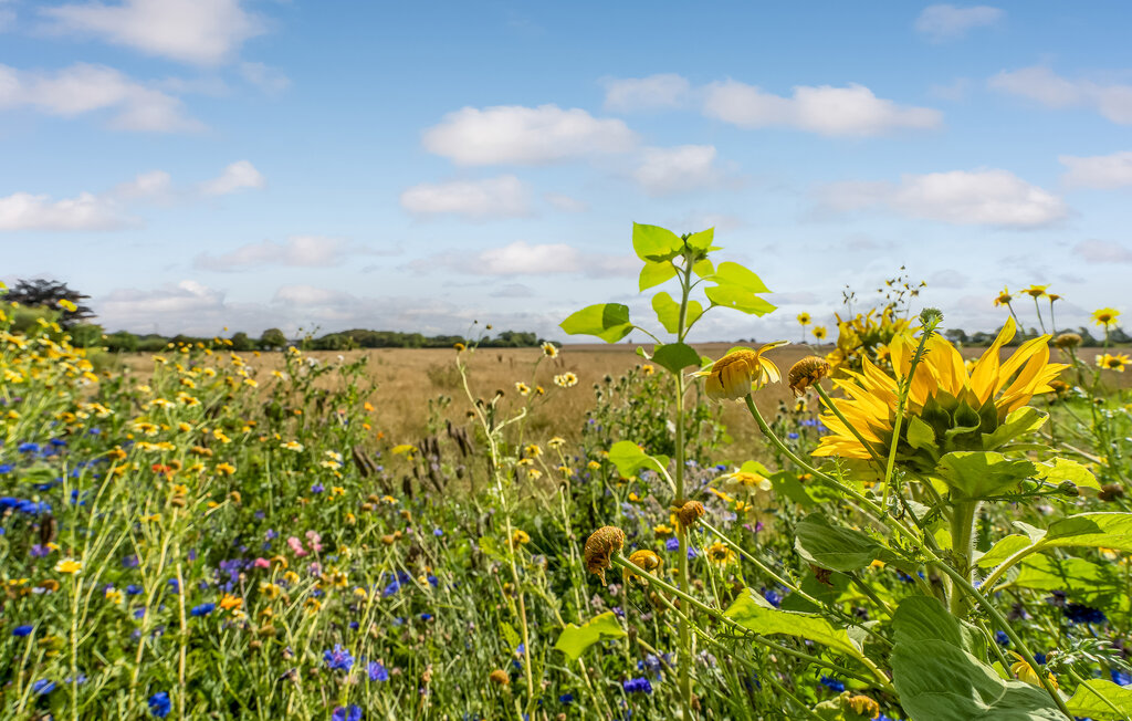 Feriehuse - Fur , Danmark - B51015 13
