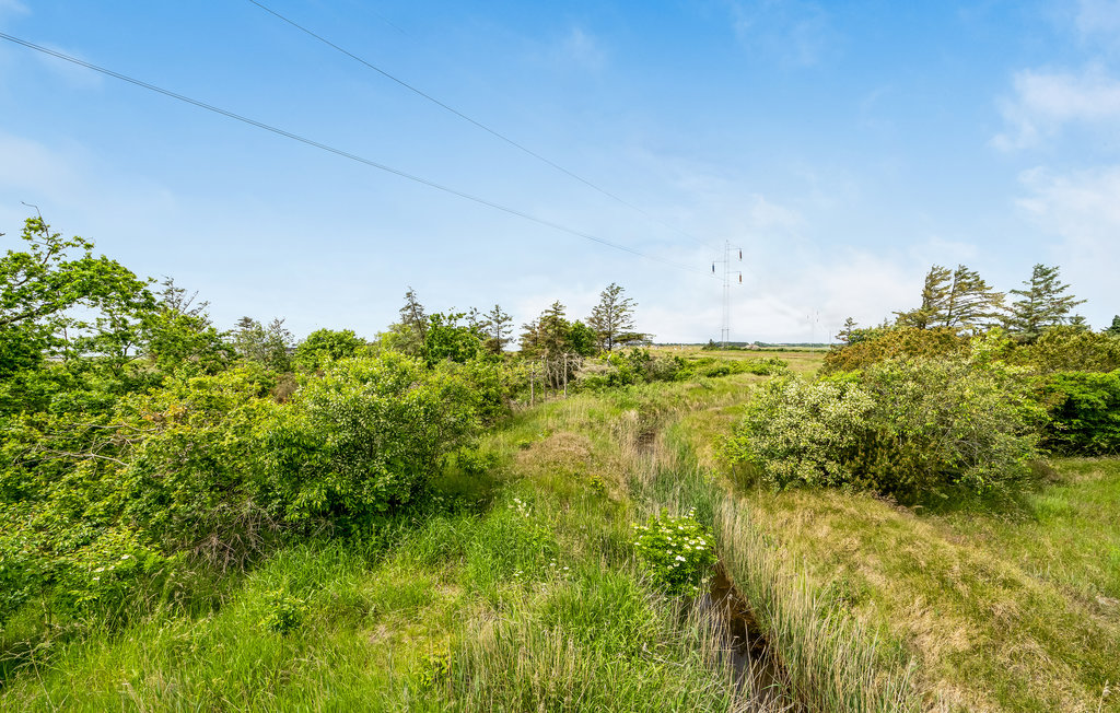 Ferienhaus - Lyngs Drag , Dänemark - B51152 17