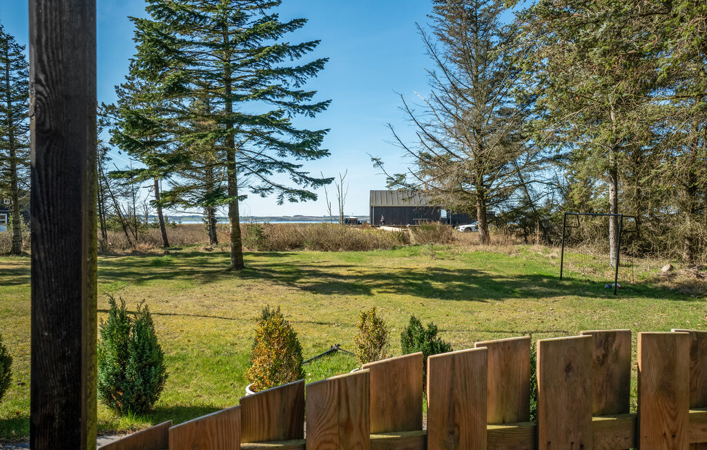 Feriehuse - Oddesund , Danmark - B51250 2