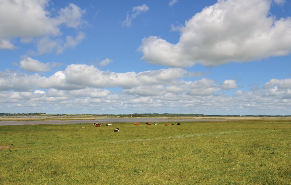 Ferienhaus - Hostrup , Dänemark - B51028 12