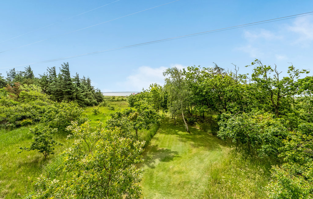 Ferienhaus - Lyngs Drag , Dänemark - B51152 18