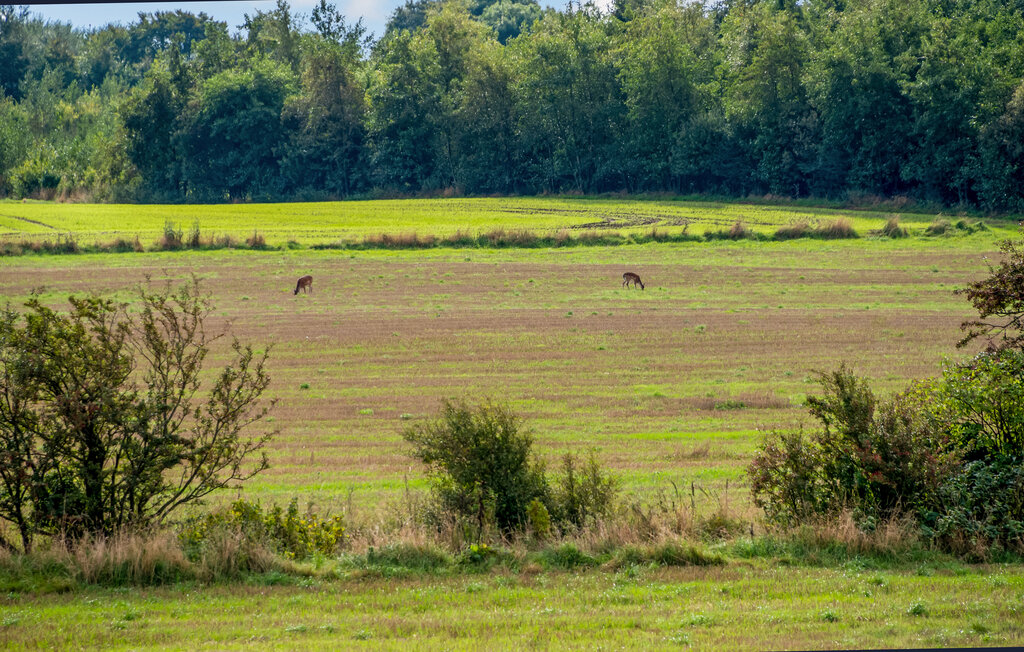 Ferienhaus - Nr. Thise/Sundsøre , Dänemark - B51223 22