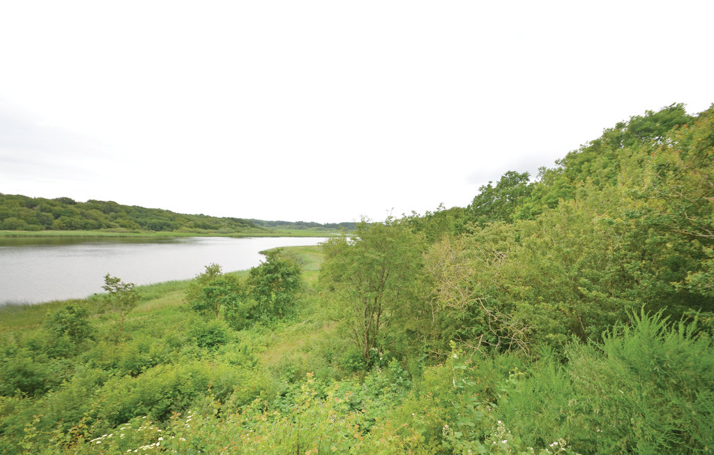 Ferienwohnung - Hjerk , Dänemark - B51031 16