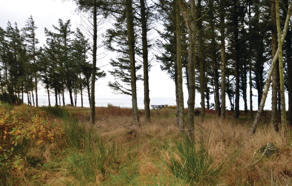 Ferienhaus - Knud Strand , Dänemark - B51111 13