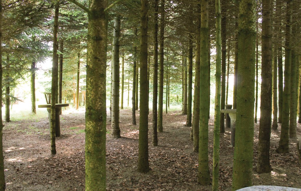 Ferienhaus - Vadum , Dänemark - B51312 15