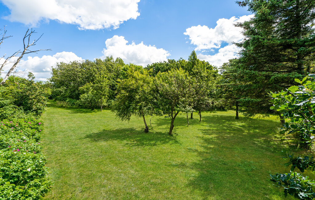 Ferienhaus - Knud Strand , Dänemark - B51233 17