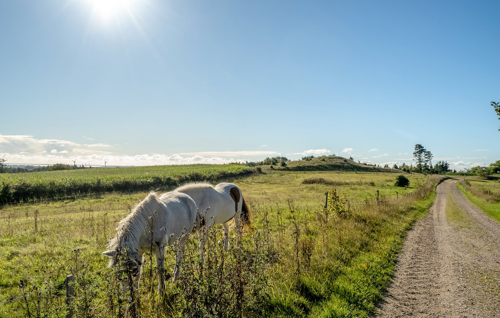 Feriehuse - Bjergby/Mors , Danmark - B51907 16