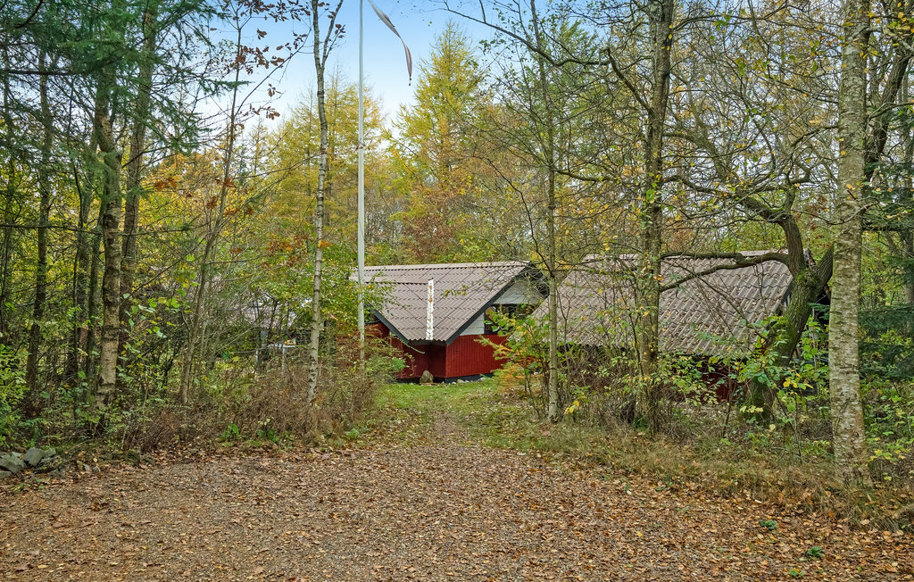 Feriehuse - Kybehuse , Danmark - B51510 13