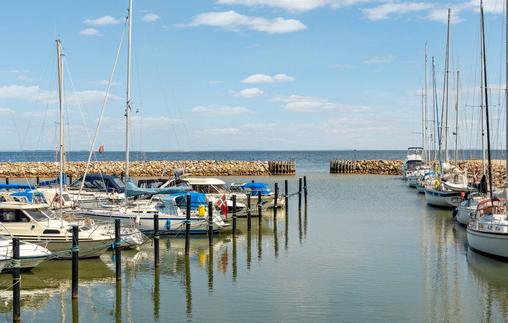 Ferienhaus - Ejerslev , Dänemark - B51037 30