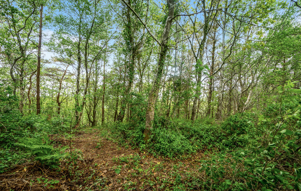 Ferienhaus - Vile Strand , Dänemark - B51061 15