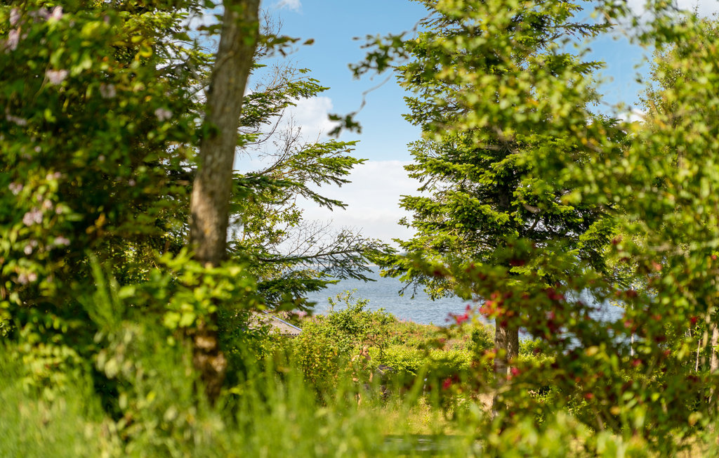 Ferienhaus - Ålbækparken/Lihme , Dänemark - B51519 15