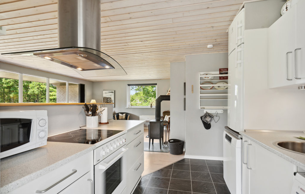 Ferienhaus - Ålbækparken/Lihme , Dänemark - B51519 18