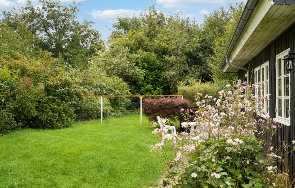 Ferienhaus - Ålbækparken/Lihme , Dänemark - B51050 17