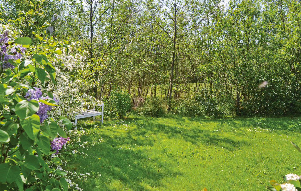 Ferienhaus - Livbjerggård , Dänemark - B5180 7
