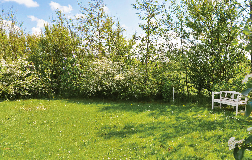 Ferienhaus - Livbjerggård , Dänemark - B5180 8