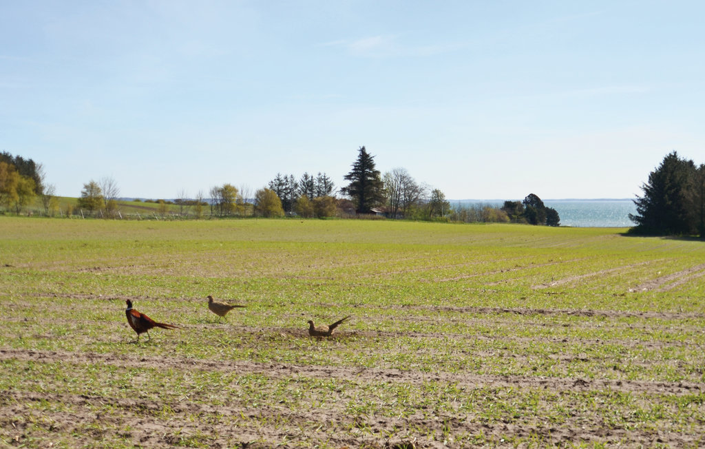 Feriehuse - Venø Strand , Danmark - B5117 29