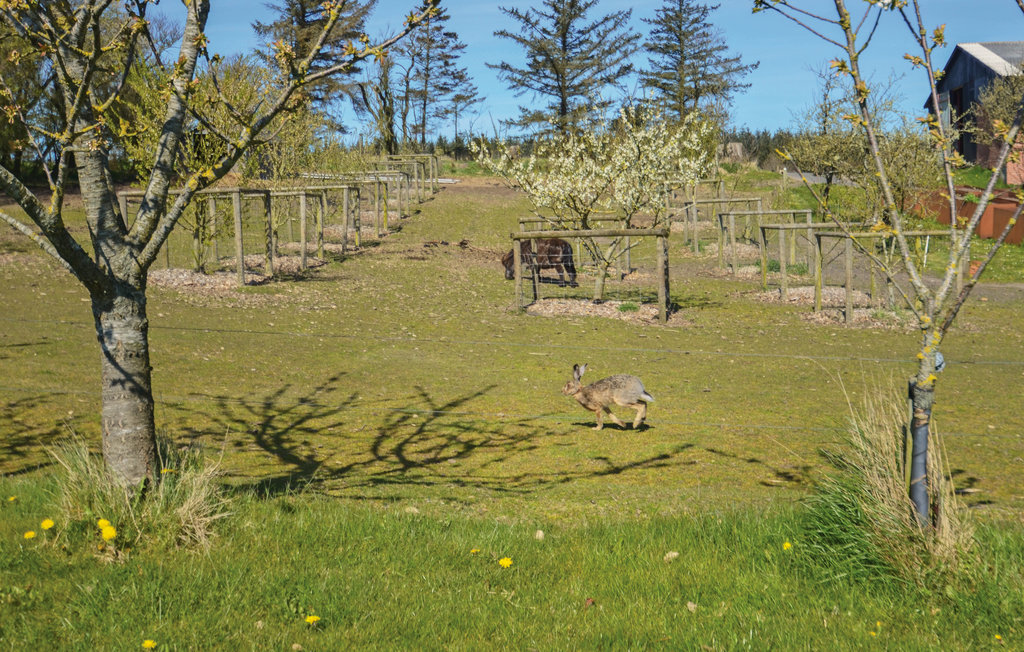 Feriehuse - Venø Strand , Danmark - B5117 30