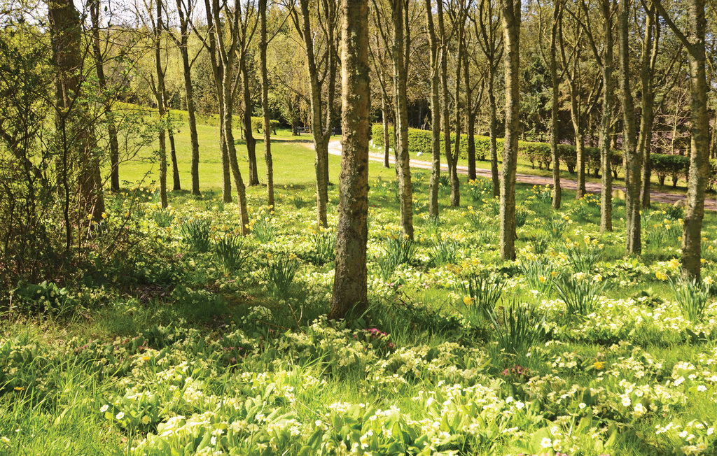 Feriehuse - Venø Strand , Danmark - B5117 31