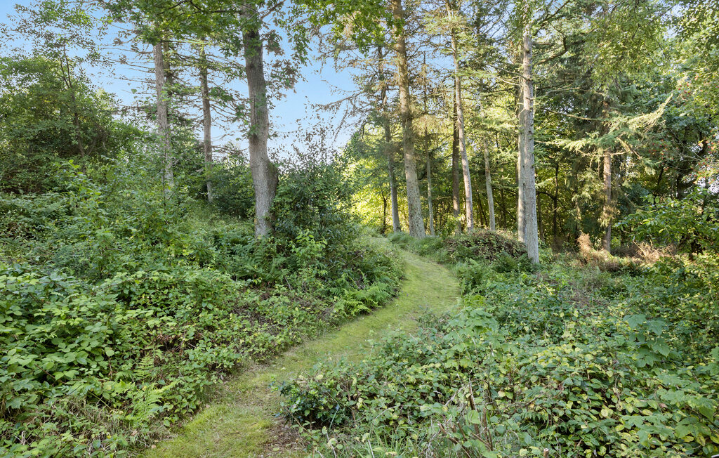 Feriehuse - Fur , Danmark - B51515 16