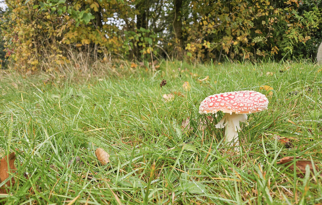 Ferienhaus - Knud Strand , Dänemark - B51111 10