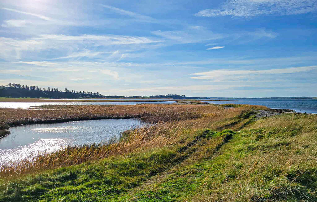 Ferienhaus - Karby / Mors , Dänemark - B51417 8