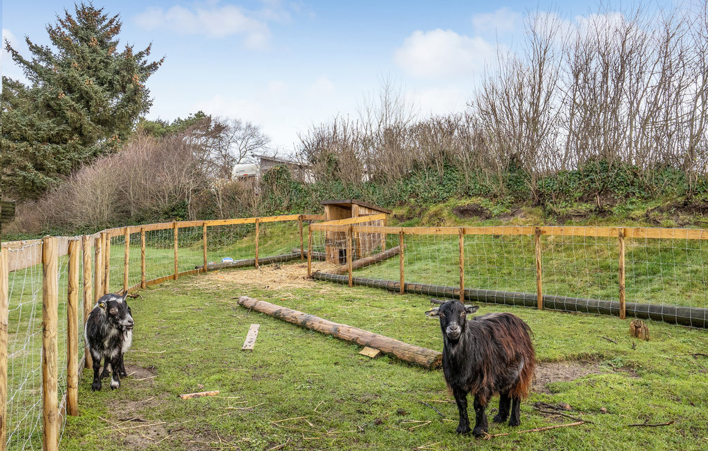 Feriehuse - Toftum Bjerge , Danmark - B52221 31