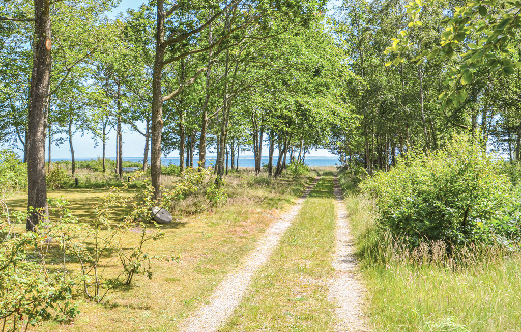 Feriehuse - Søndbjerg , Danmark - B52333 20