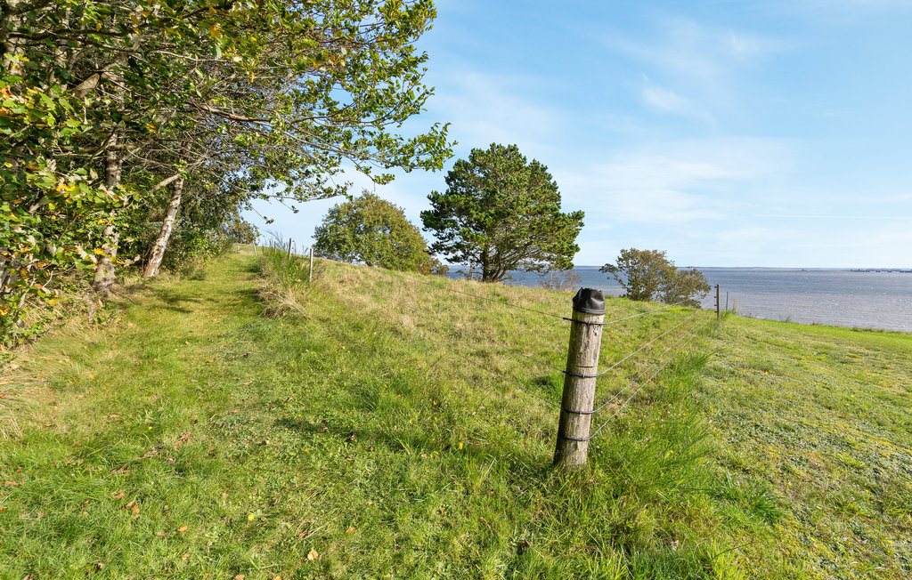 Ferienhaus - Serup/Oddesund , Dänemark - B52503 20