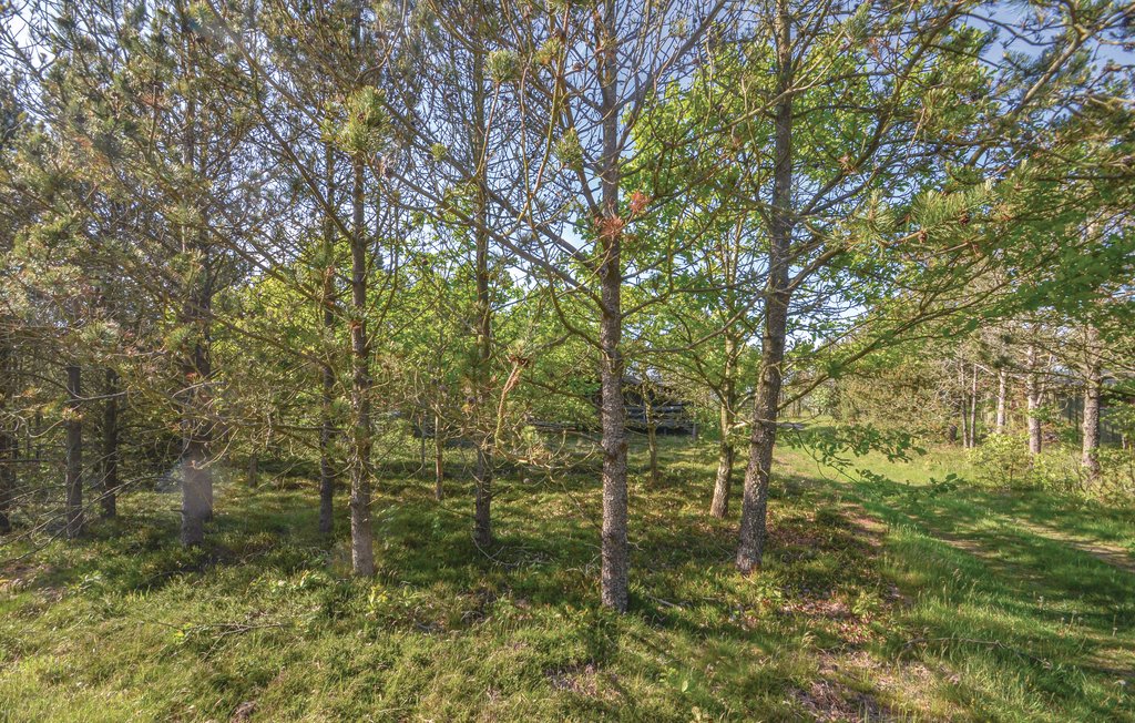 Ferienhaus - Helligsø Drag , Dänemark - B52033 8