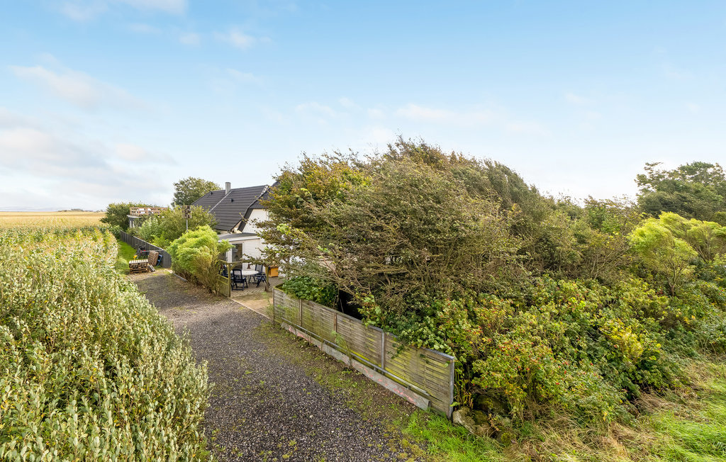 Ferienwohnung - Skjoldborg , Dänemark - B52079 9