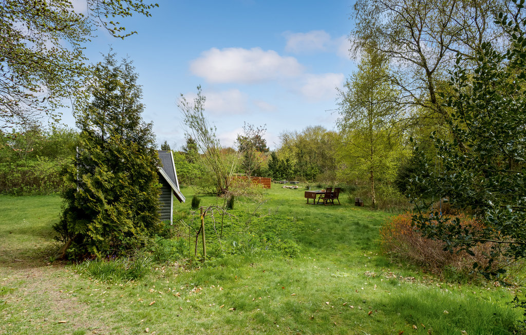 Feriehuse - Oddesund Strand , Danmark - B52021 14