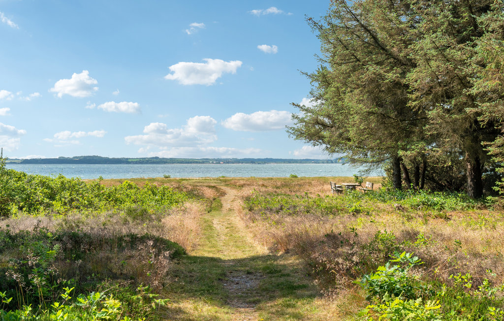 Feriehus - Oddesund , Danmark - B52416 16