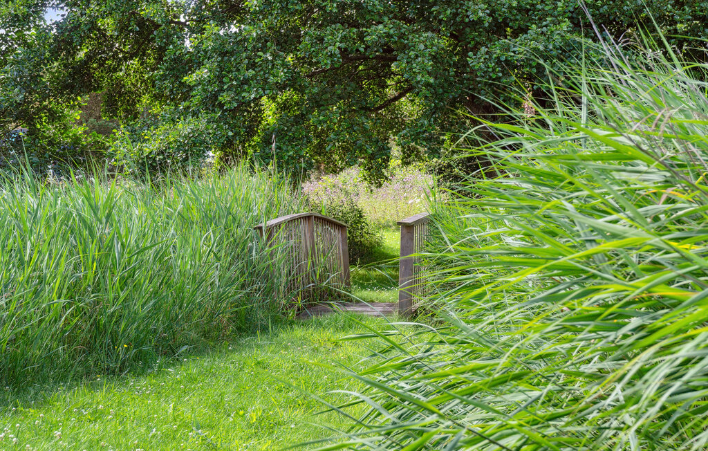 Feriehuse - Lyngs Drag , Danmark - B52326 15