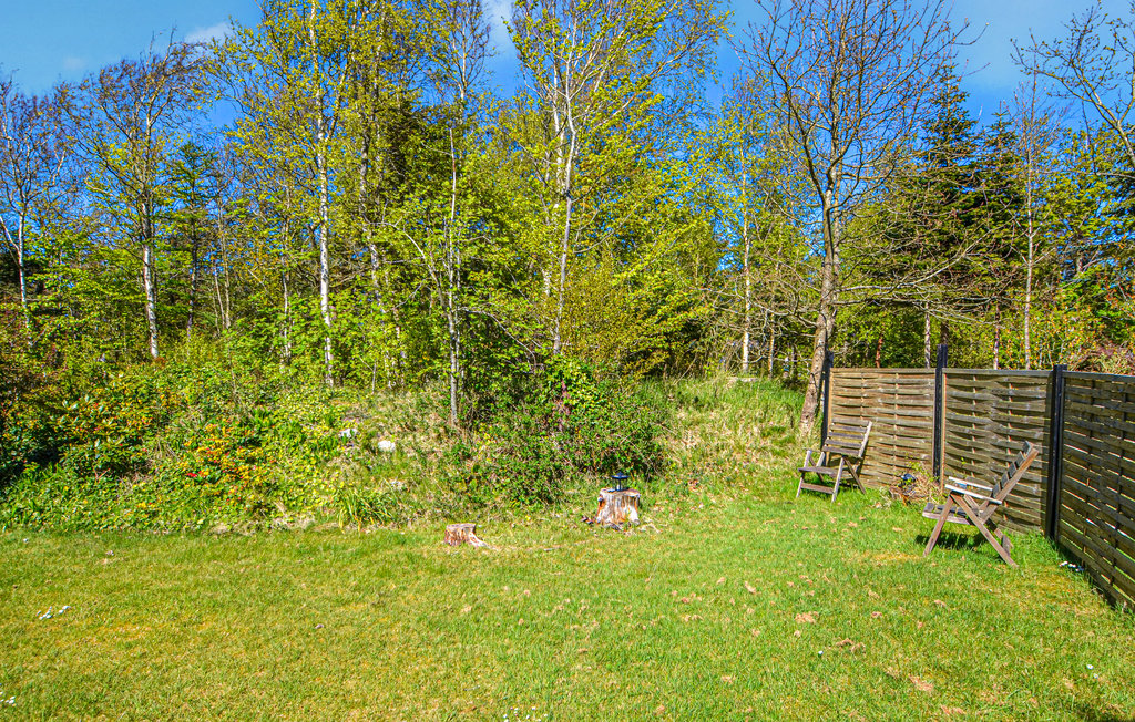 Ferienhaus - Lyngs Drag , Dänemark - B52032 15