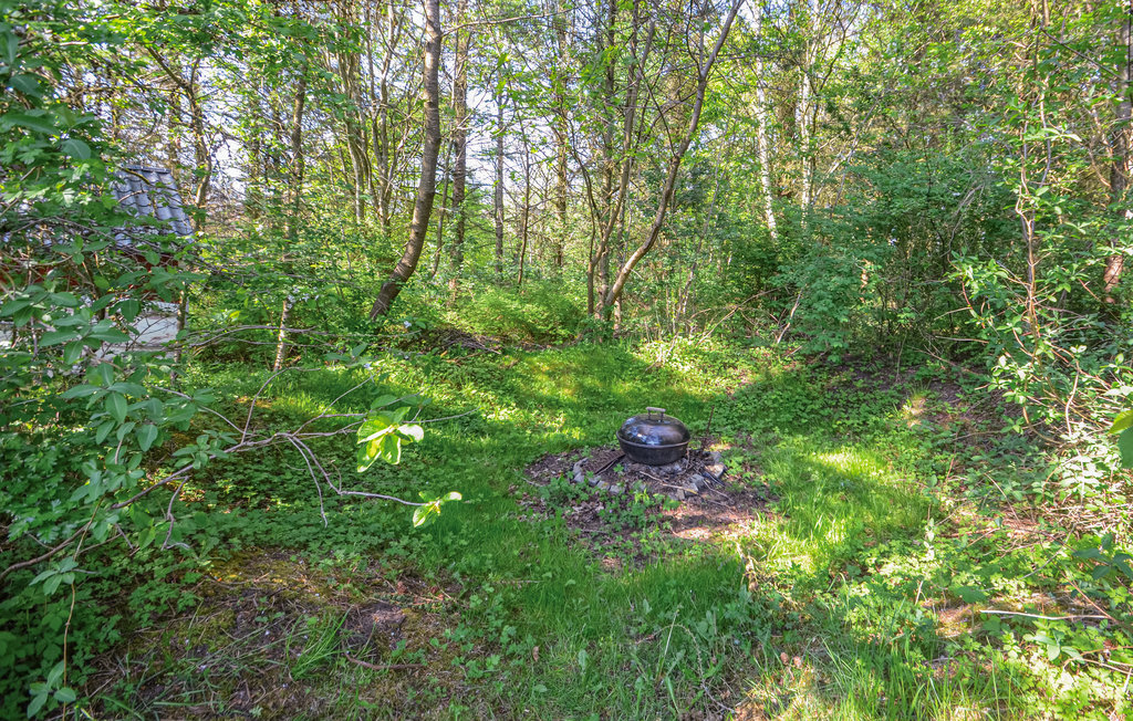 Ferienhaus - Skibsted Fjord , Dänemark - B52109 21