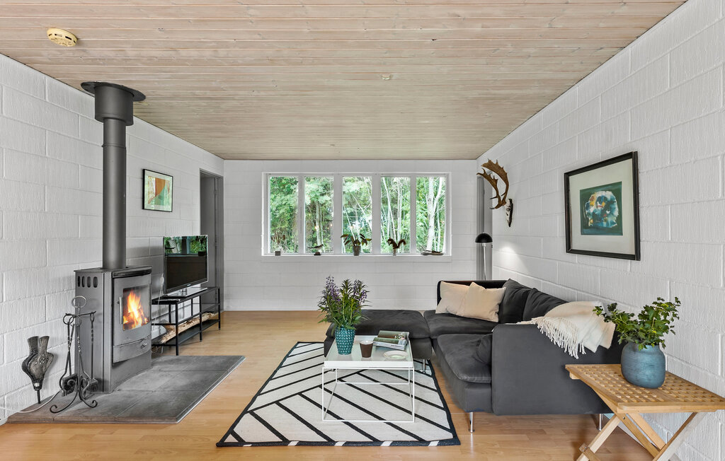 Feriehuse - Jegindø Strand , Danmark - B52220 4