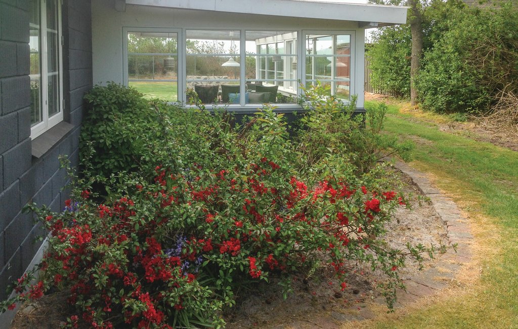 Ferienhaus - Ejsing Strand , Dänemark - B5381 8