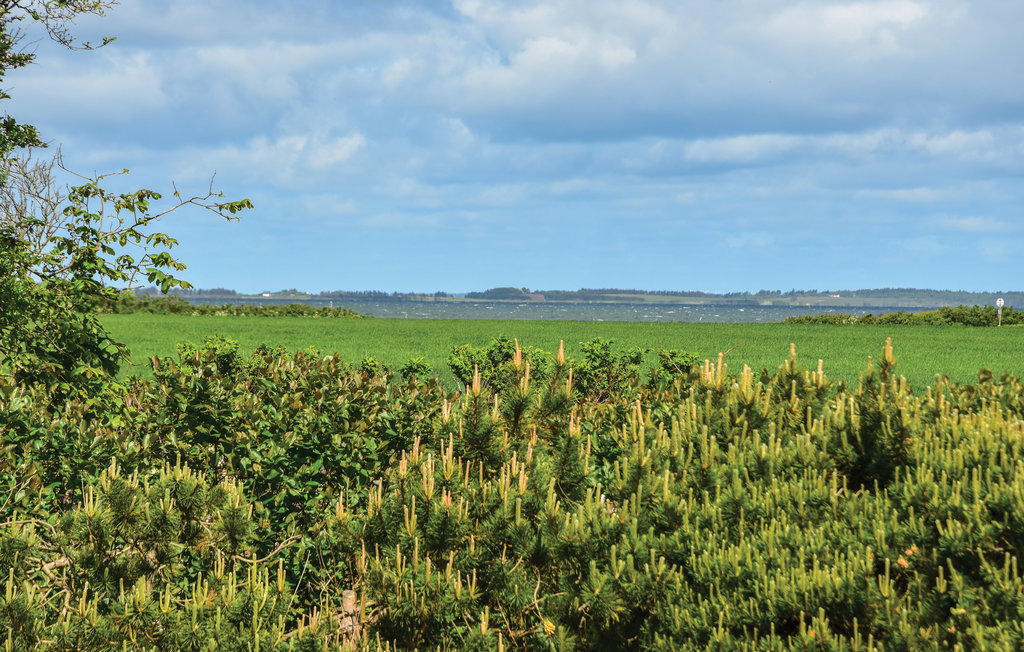Ferienhaus - Handbjerg Strand , Dänemark - B5339 16