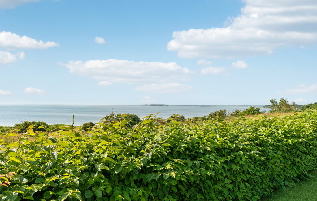 Ferienhaus - Amtoft Strand , Dänemark - B60122 15