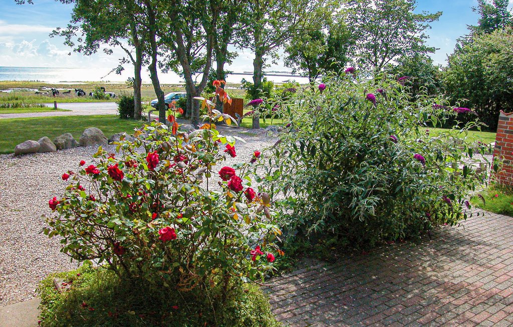 Ferienhaus - Feggesund , Dänemark - B60036 17