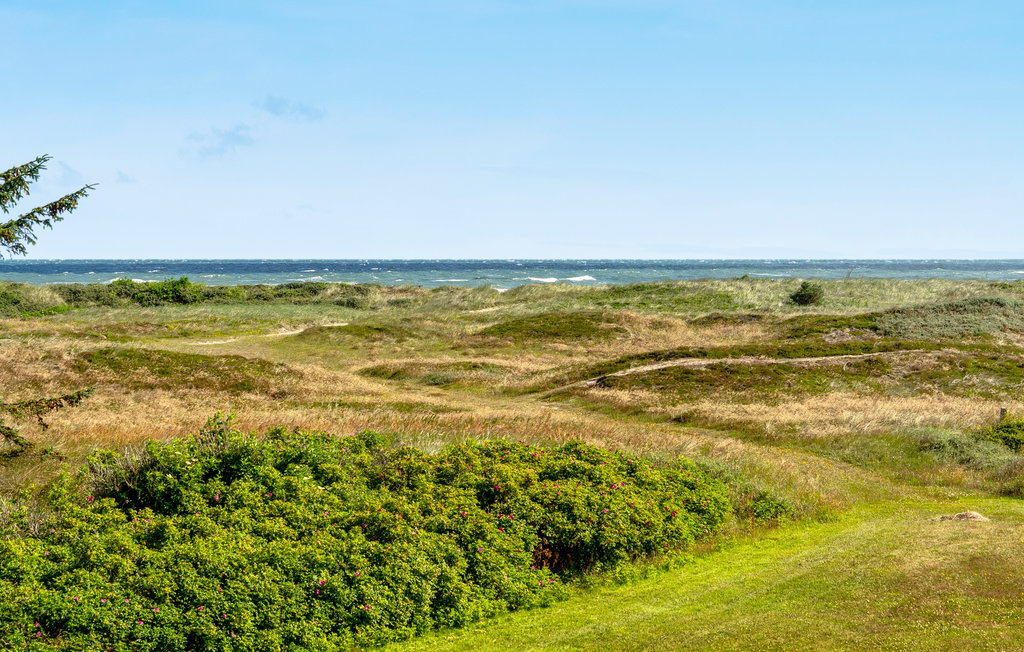 Ferienhaus - Thorup Strand , Dänemark - B70318 15