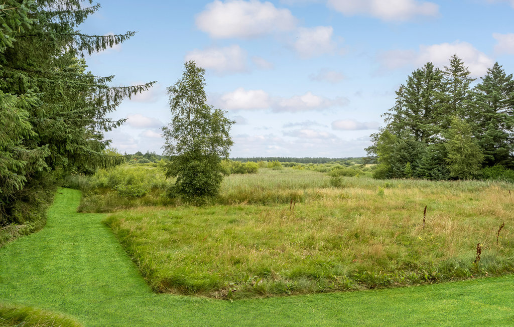 Feriehuse - Lild Strand , Danmark - B70038 18