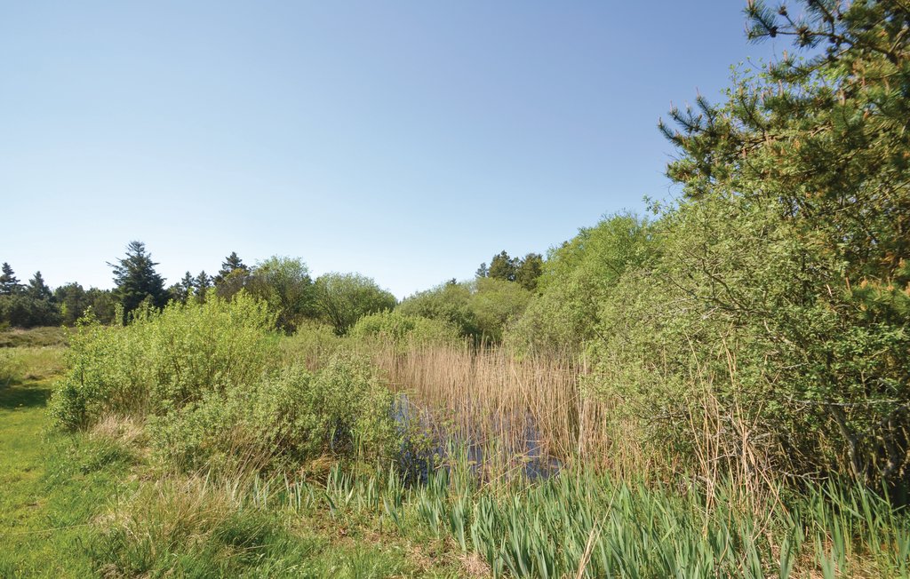 Ferienhaus - Frøstrup , Dänemark - B70015 8